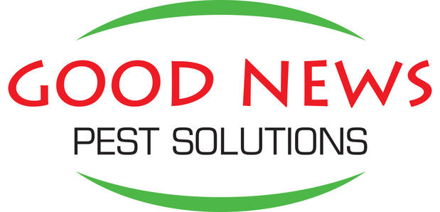 Images Good News Pest Solutions
