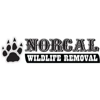 Norcal Wildlife Removal