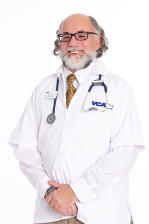 Images VCA Becker Animal Hospital and Pet Resort