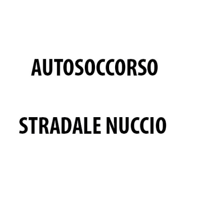 Soccorso Stradale Nuccio Palermo Logo