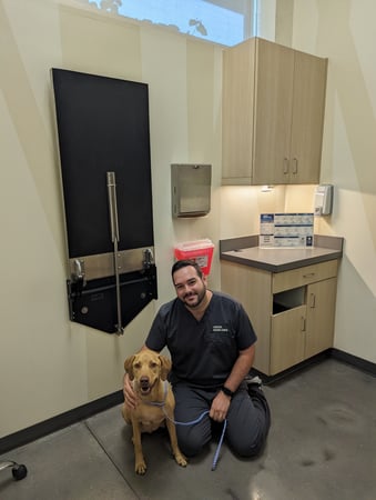 Images Vetco Total Care Animal Hospital