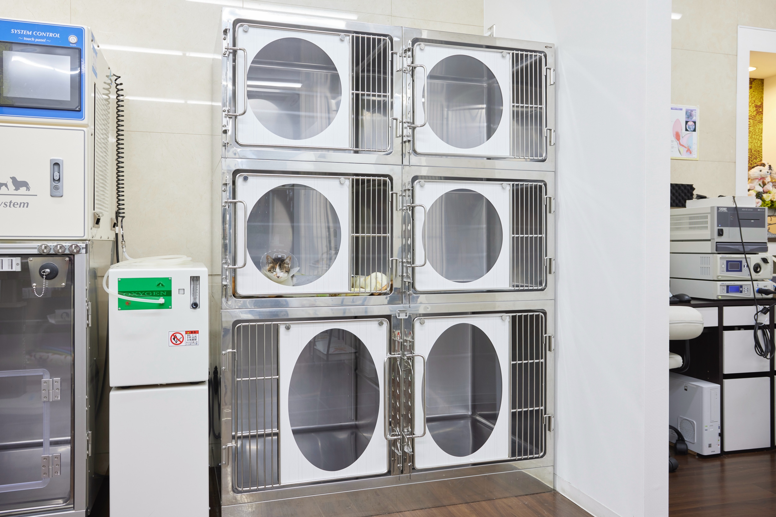 Images 飯塚パル動物病院 PAL動物病院グループ