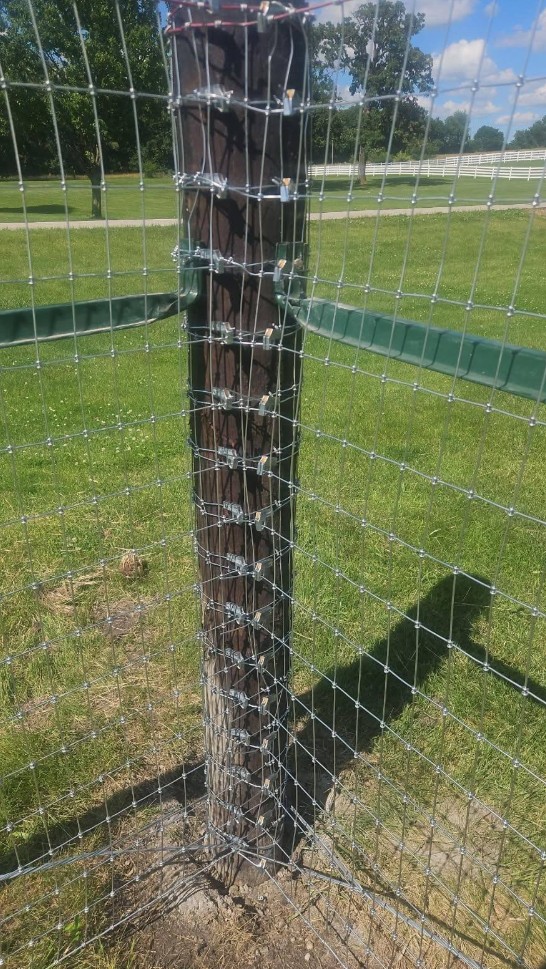 Horse Fence