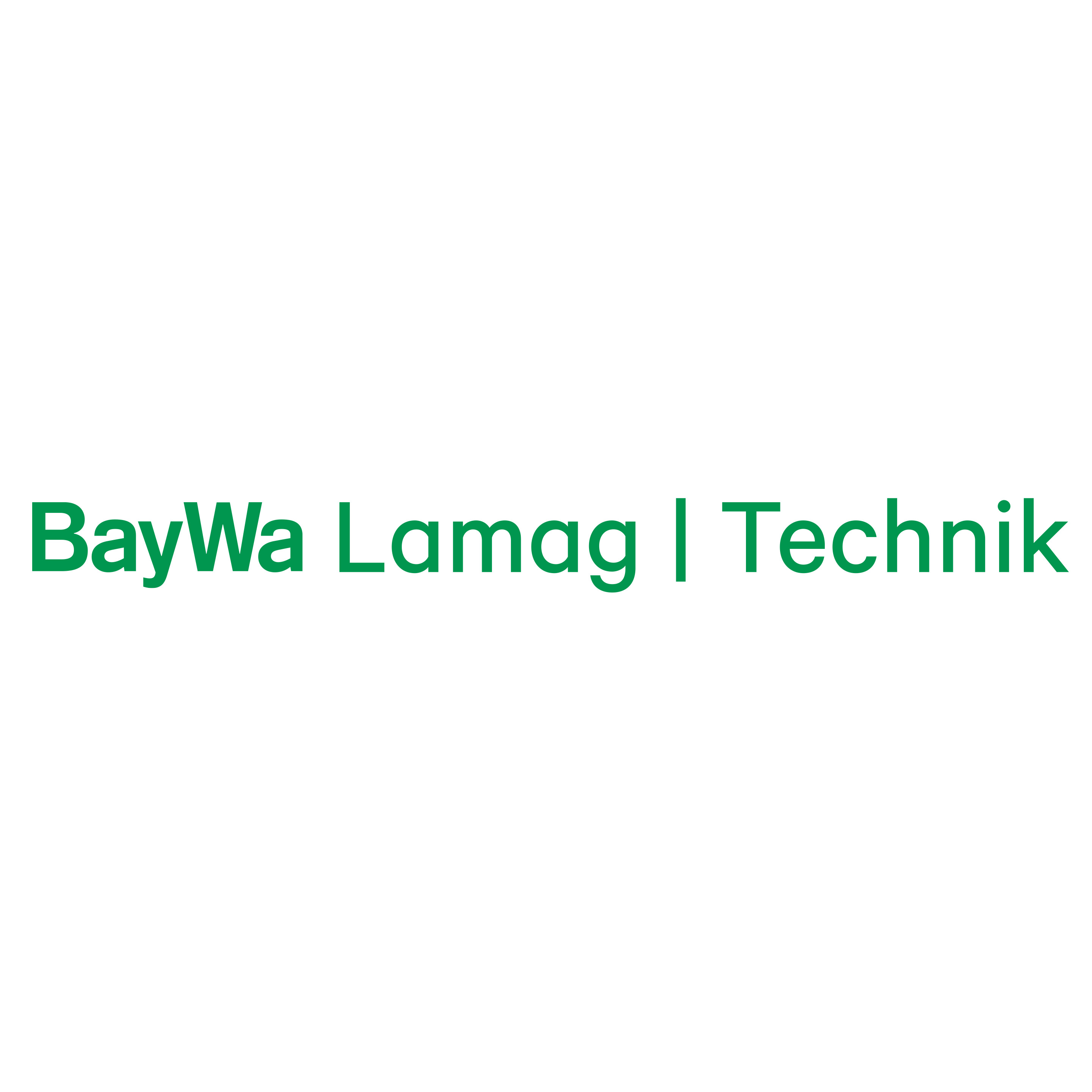 BayWaLamag Technik in 6890 Lustenau Logo