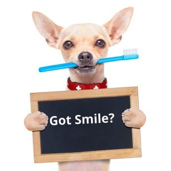 Images Dental Veneers Specialist On Wilshire - Los Angeles Cosmetic Dentist