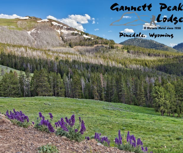 Images Gannett Peak Lodge