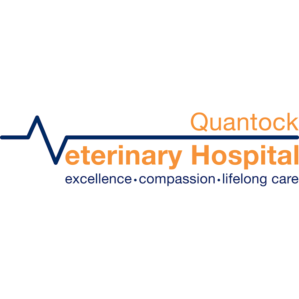 Quantock Veterinary Hospital Bridgwater 01278 450080