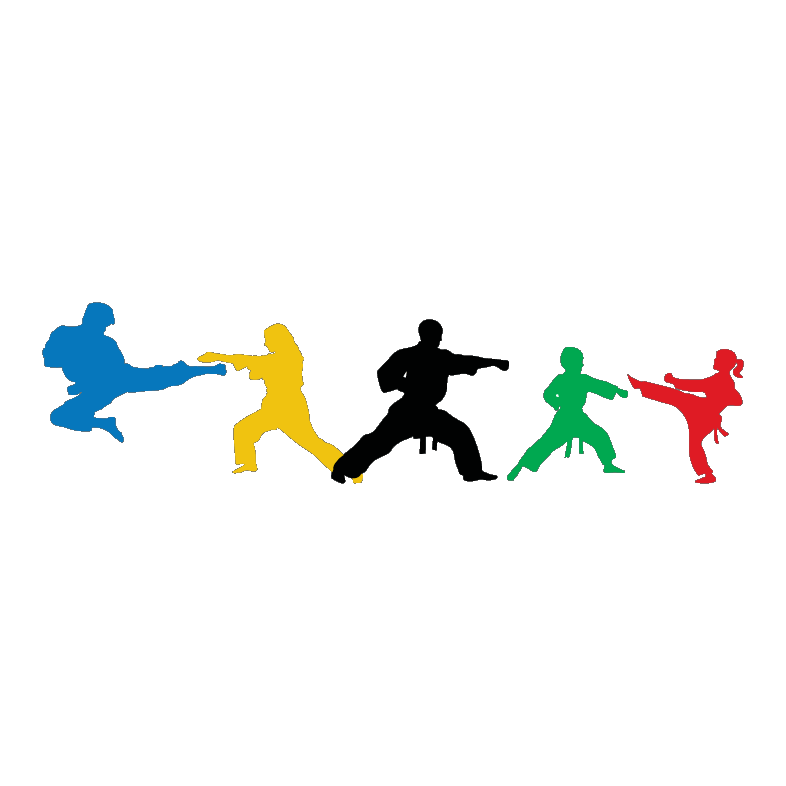 Massachusetts Taekwondo Academy