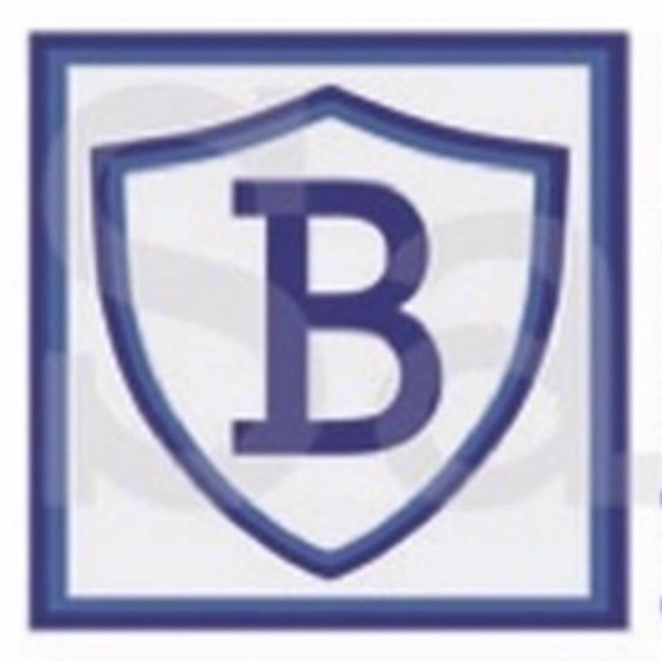 Blue Steel Protection Services Logo