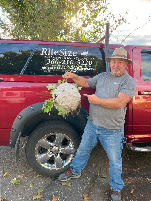 Images Rite Size Pest Control and Moss Removal
