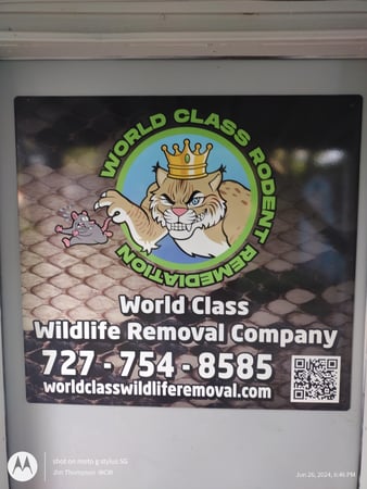 Images World Class Wildlife Removal And Rodent Remediation Co.