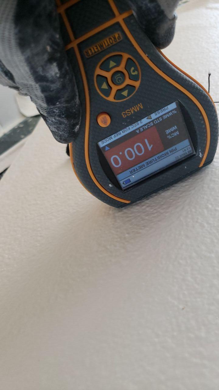 water removal experts