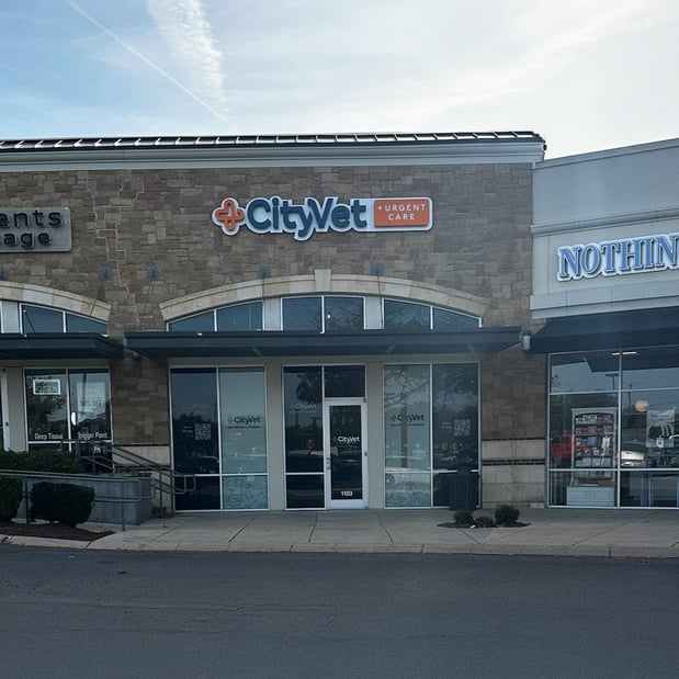 Images CityVet | Castle Hills Veterinary Clinic & Urgent Care