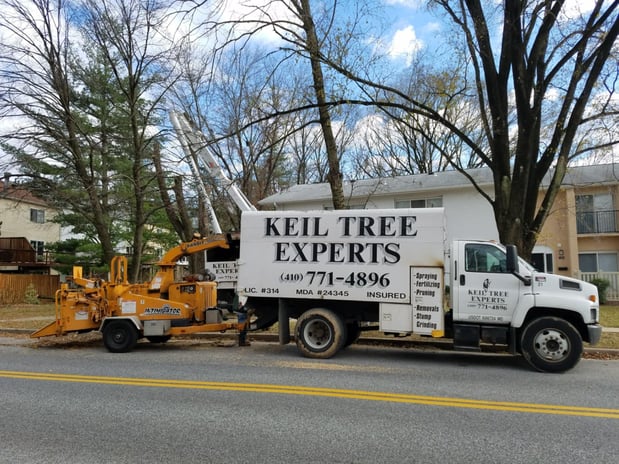 Images Keil Tree Experts Inc