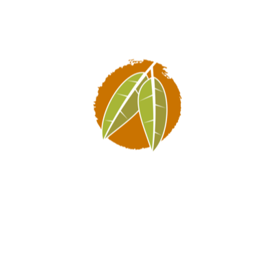Mango Terrace Logo