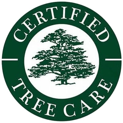 Certified Tree Care