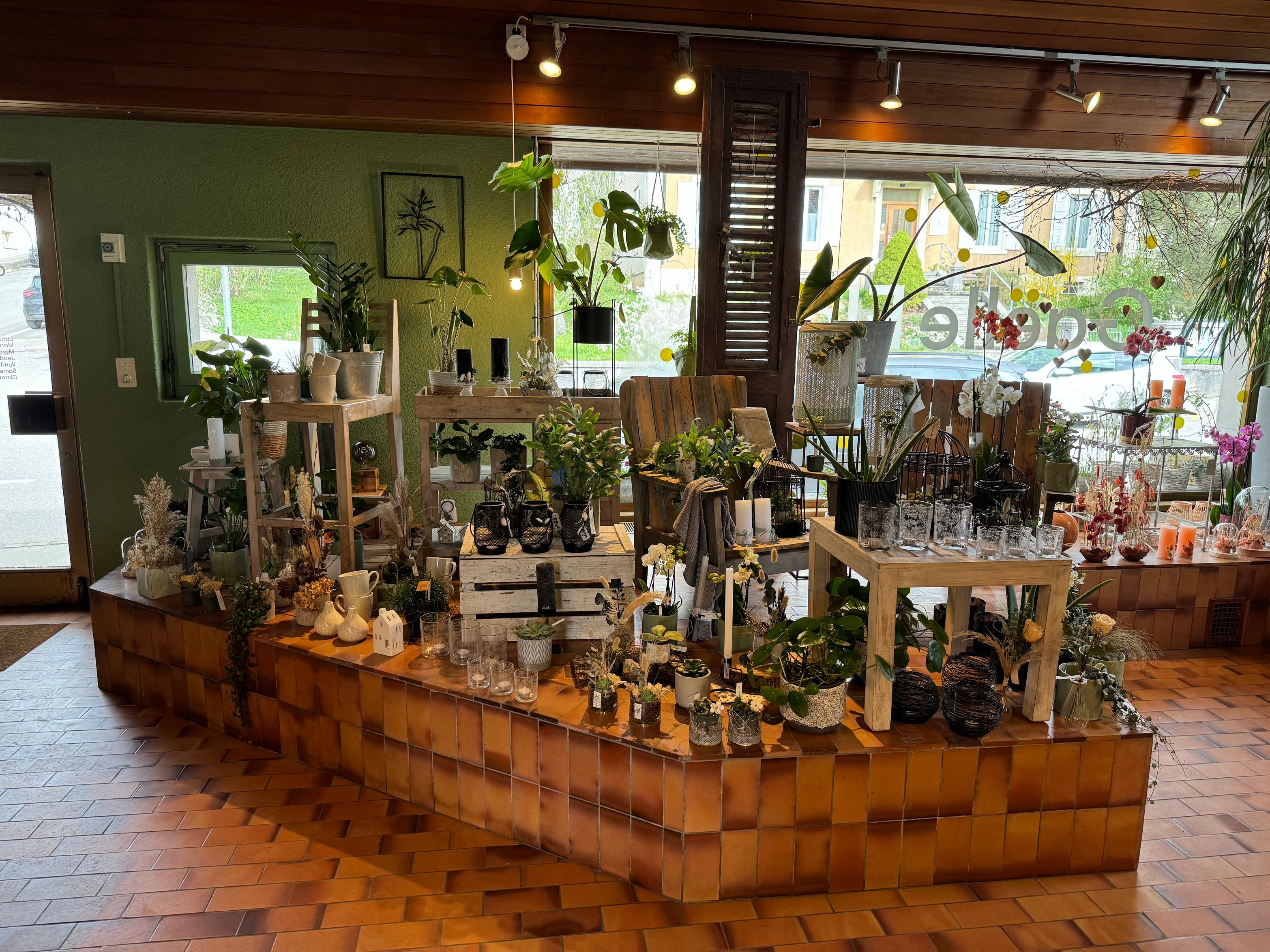 Bilder Gaëlle Fleurs Sàrl