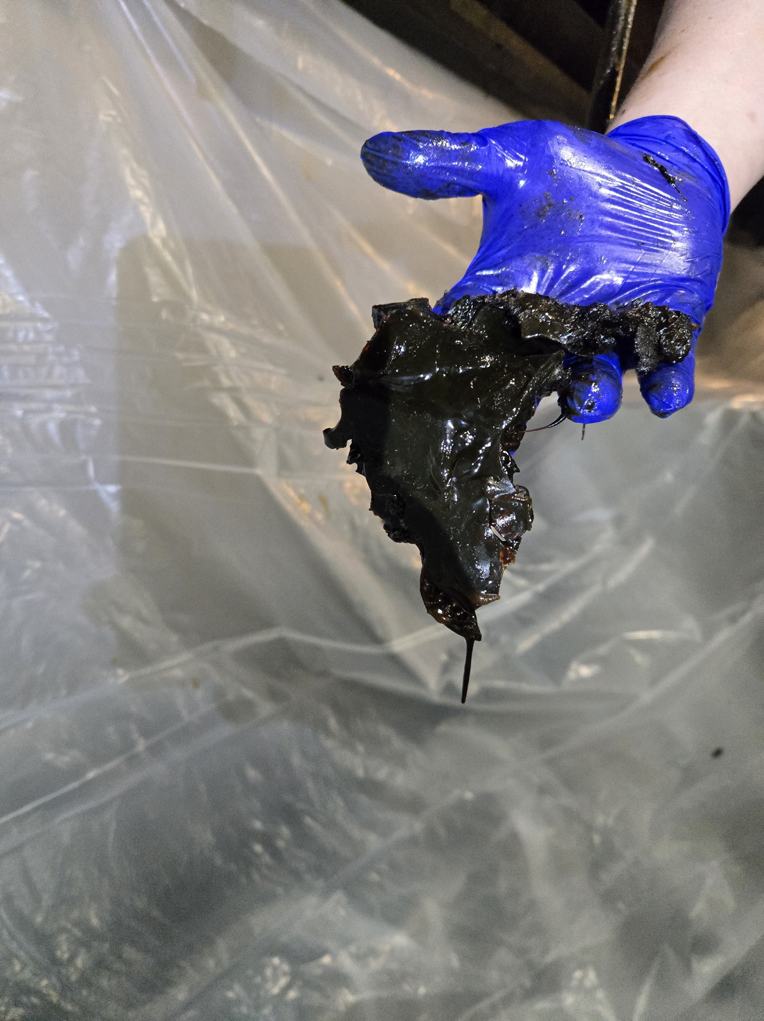 Optimum Hood Pros Image