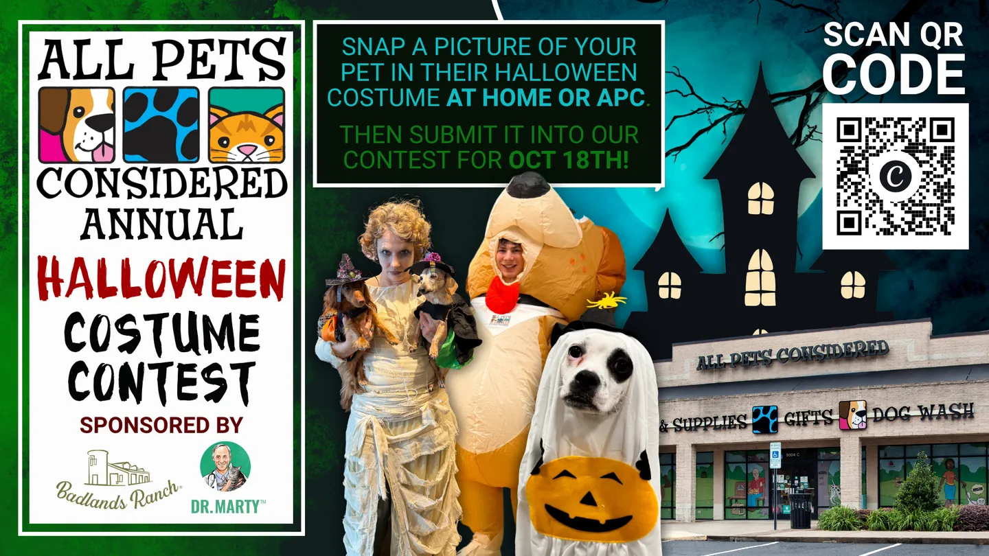 Image of Local Pet Event Annual Halloween Costume Contest Nearby