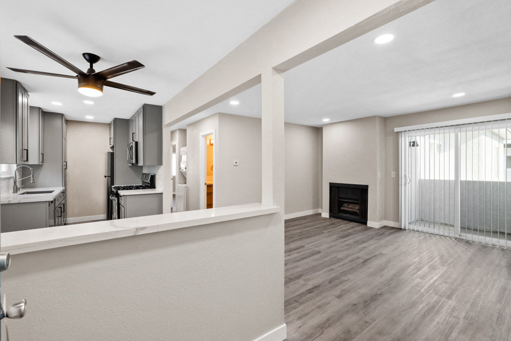 Kitchen And Living Area