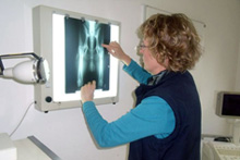 Kleintierpraxis am Mühlenberg, Mühlenberg 16 in Börger