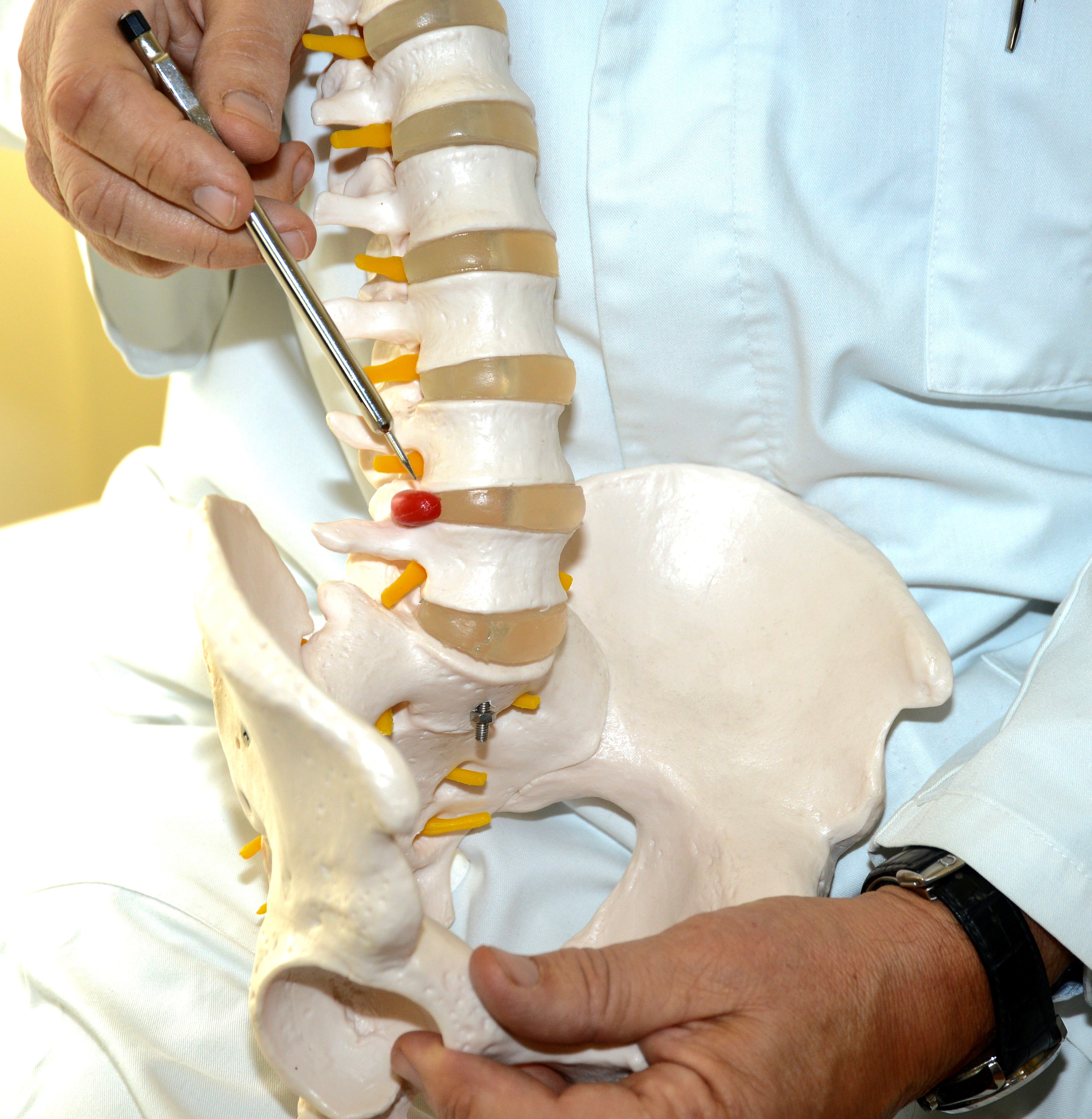 Univ. Prof. Dr. med. Martin FRIEDRICH, Donauwörther Straße 1 in Perchtoldsdorf