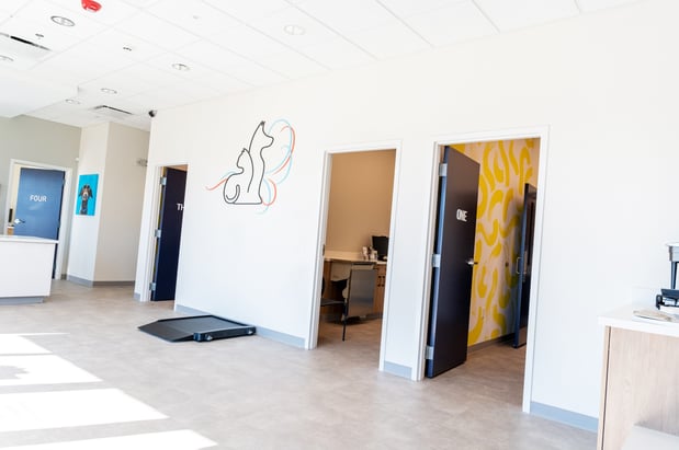 Images Windrose Animal Hospital Valencia