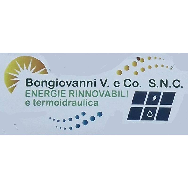 Bongiovanni V. e Co. Logo