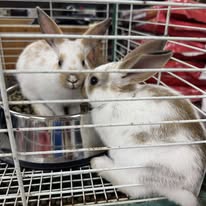 Images Harrison Farm and Feed