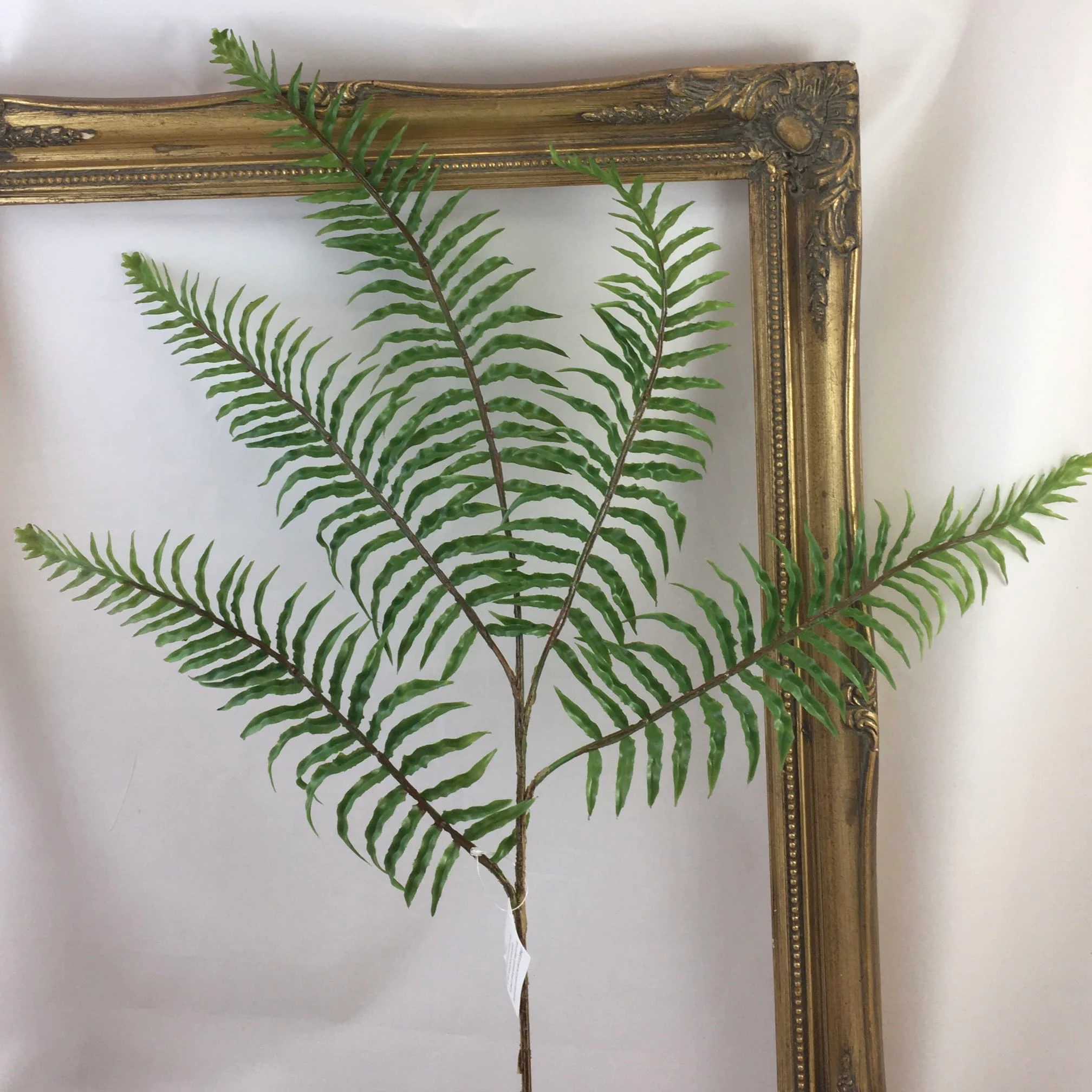 Images Village Green Wholesale Ltd