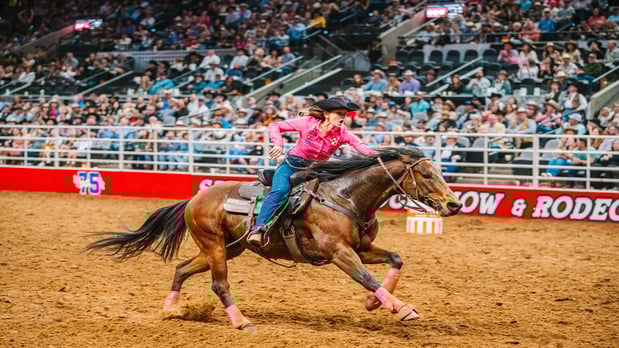 Images Holiday Inn Express & Suites San Antonio Rivercenter Area by IHG