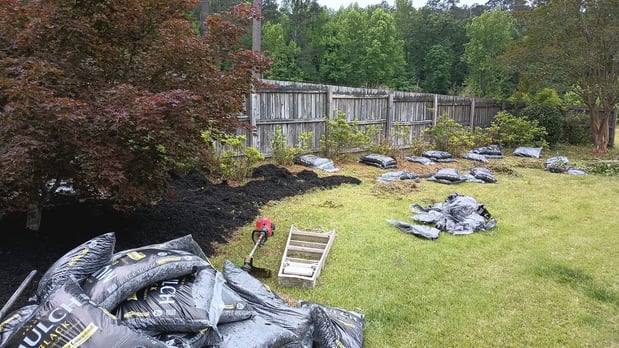 Images Tree Removal and Landscaping