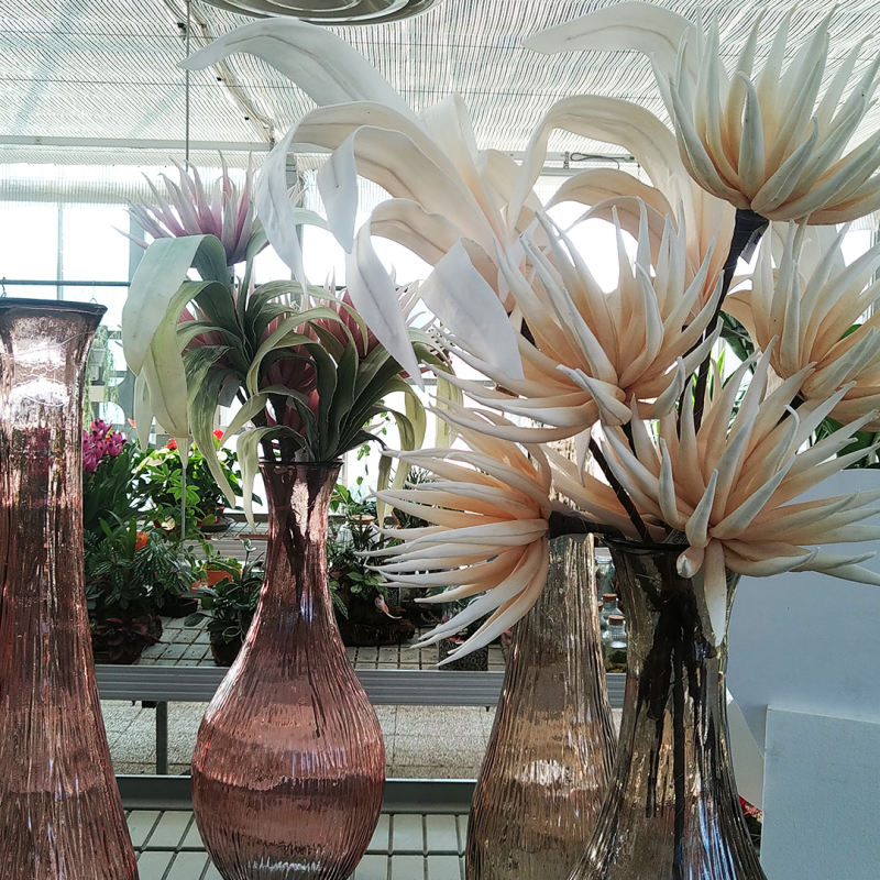 Images Vivaio Cerretani Roberto