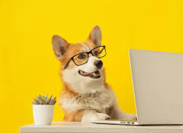 main blog image