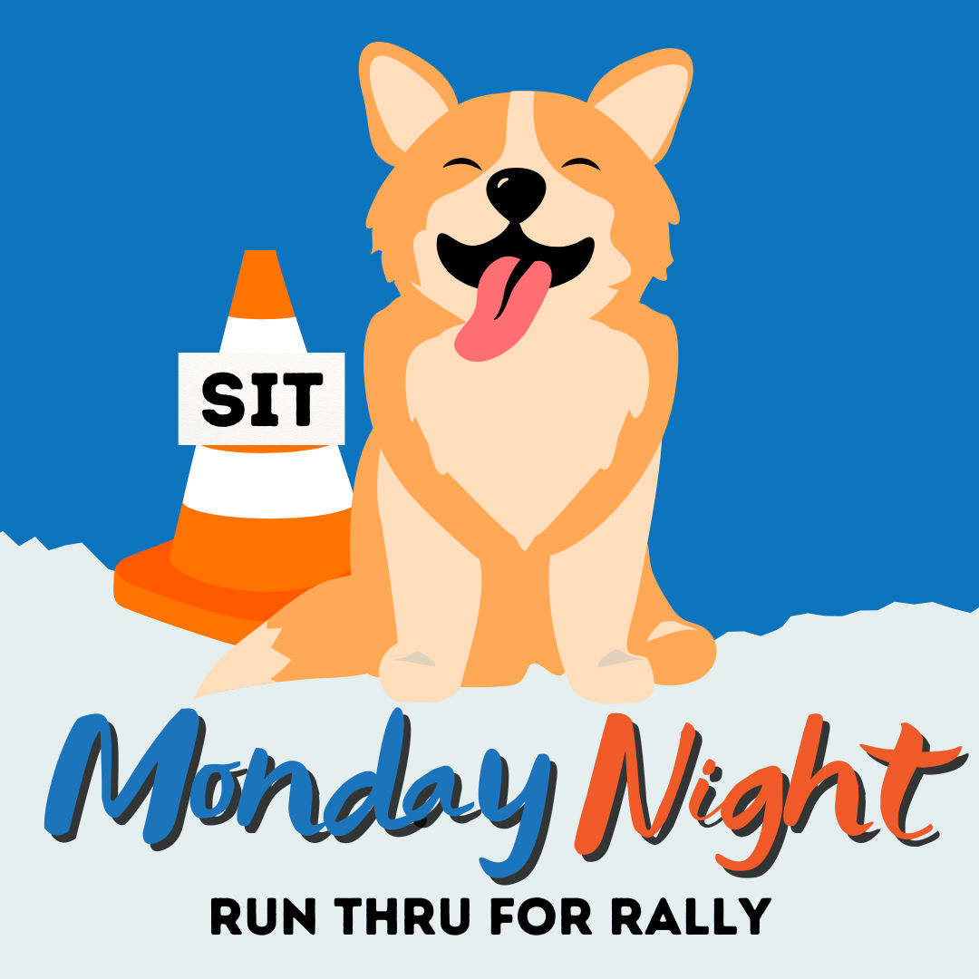 Best Dog Training And Pet Supply Store In Stroudsburg, PA