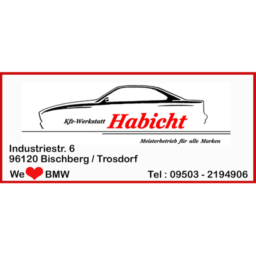 Kfz-Werkstatt Habicht in Bischberg - Logo