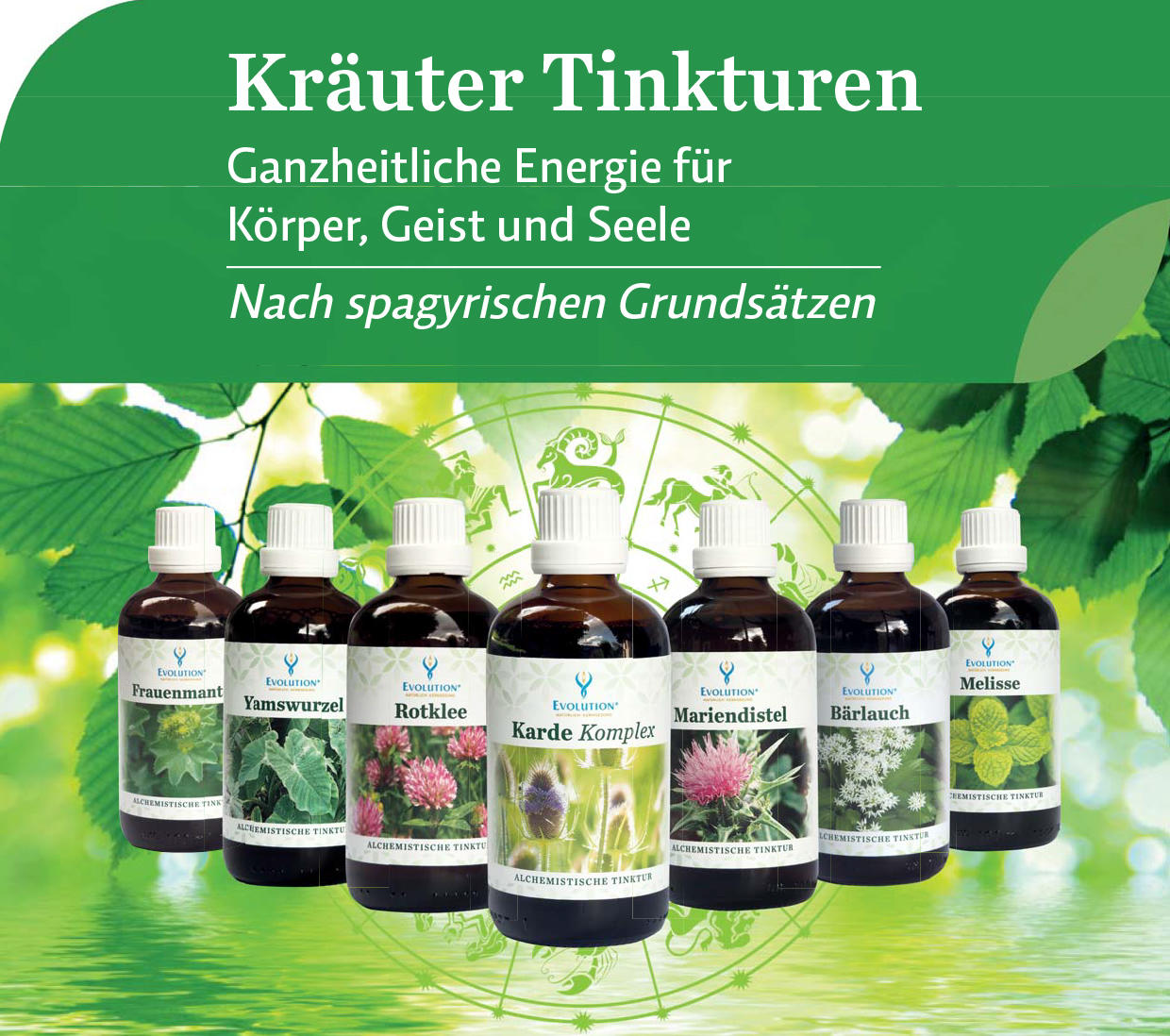 Evolution GmbH, Hausergasse 28 in Villach