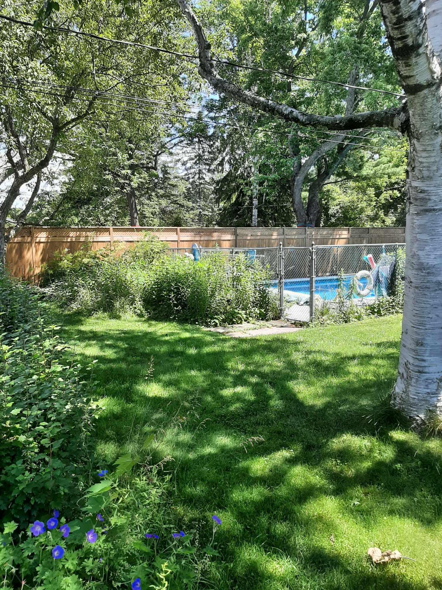 Images Rejuvenation Renovations