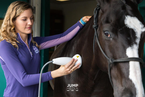 Images Palm Beach Equine Clinic
