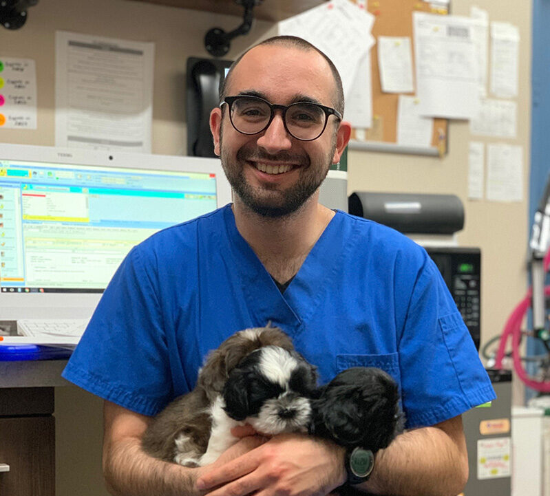 Images Greenwood Veterinary Care