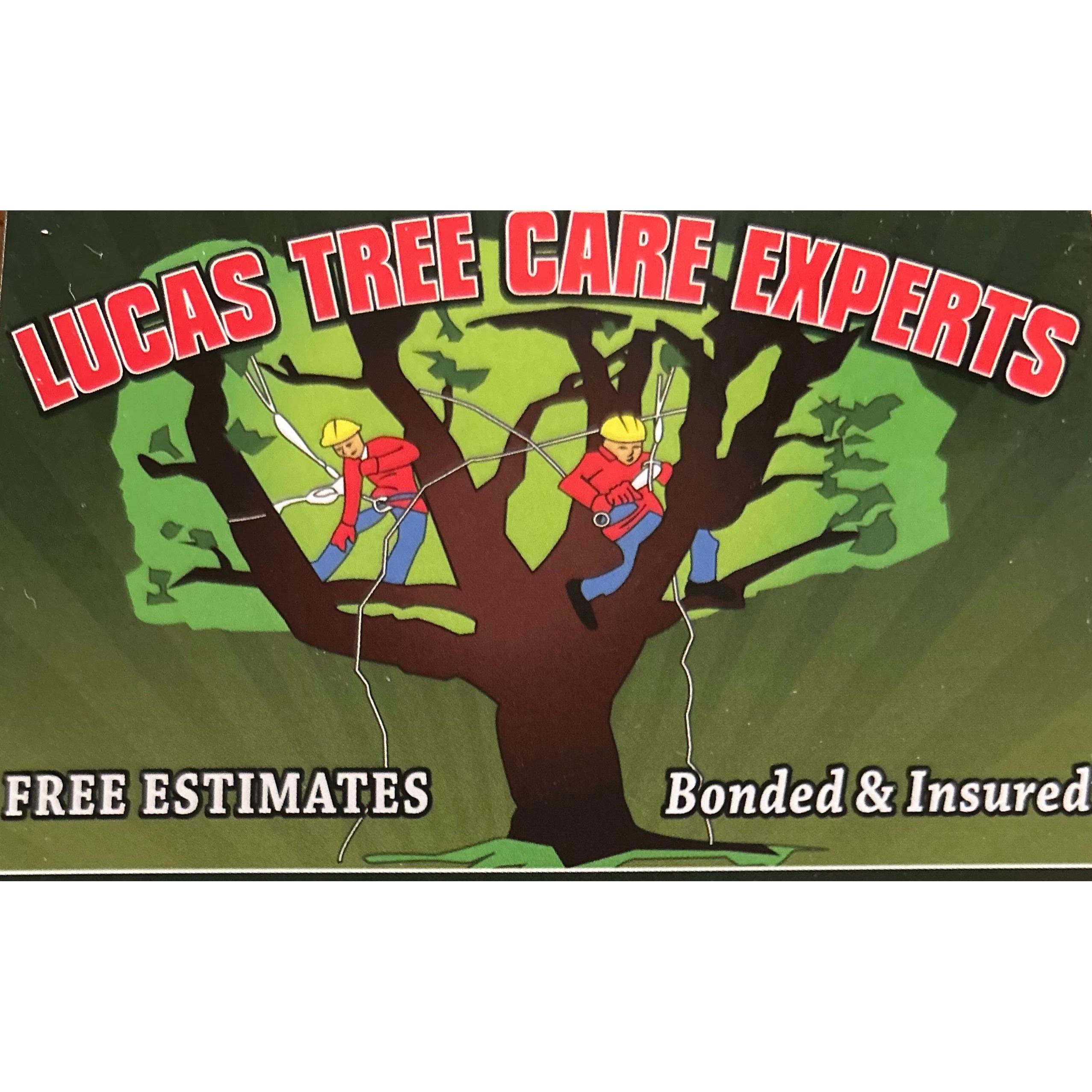 Lucas Tree Care Experts - Lombard, IL 60148 - (630)519-4206 | ShowMeLocal.com