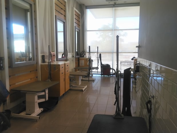 Images Petco Grooming