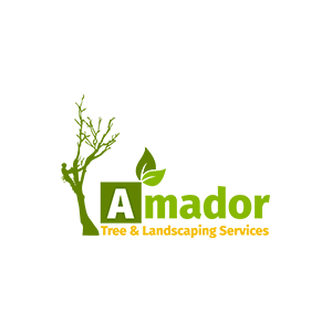 Amador Tree & Landscaping Services