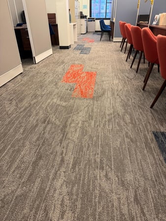 Images Fresh Carpet Clean Houston