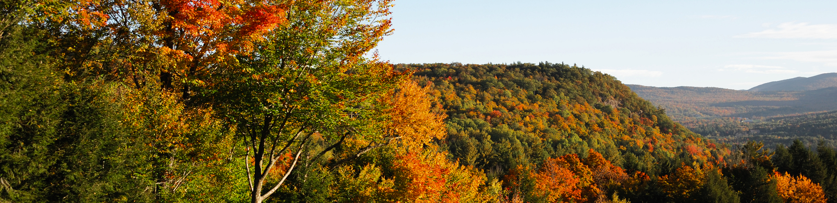A mountain range covered in stunning autumn foliage.