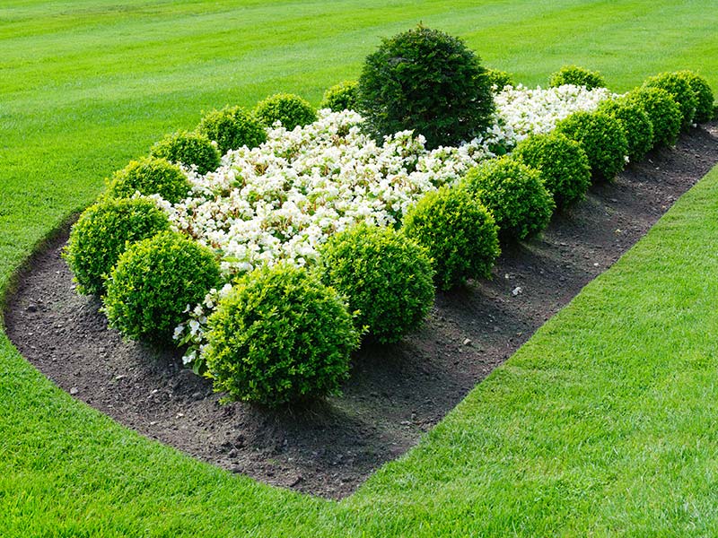 Images JC's Landscaping & The Tree Dudes