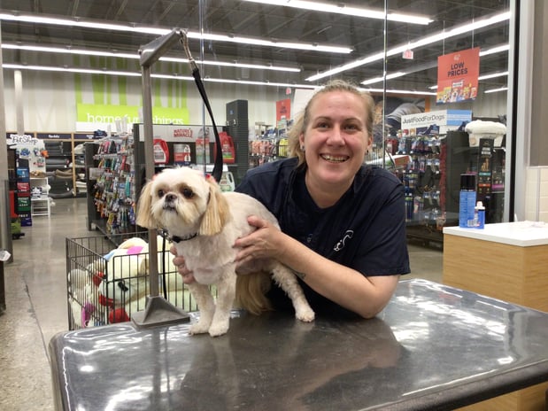 Images Petco Grooming