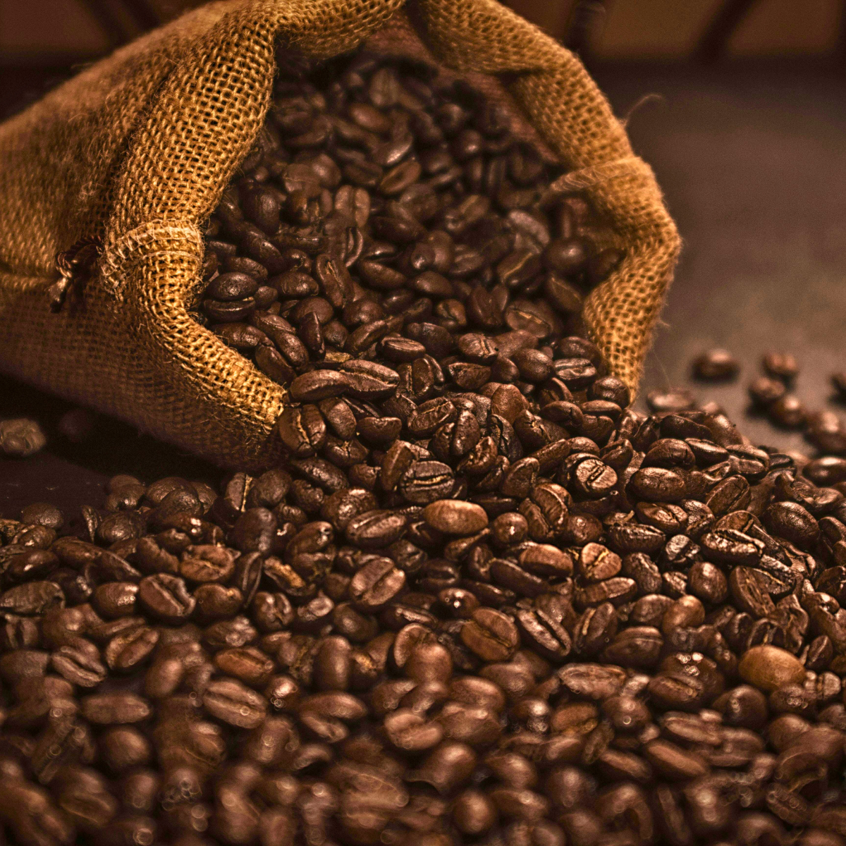 Salt Lake City Coffee Roasters – Fresh, Locally Roasted Beans

Searching for “coffee roasters near m 