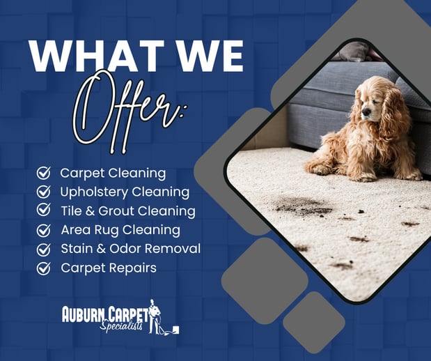 Images Auburn Carpet