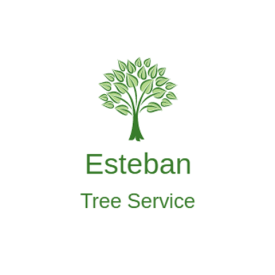 Esteban Tree Service
